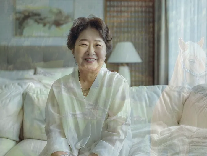 개인회생전문변호사