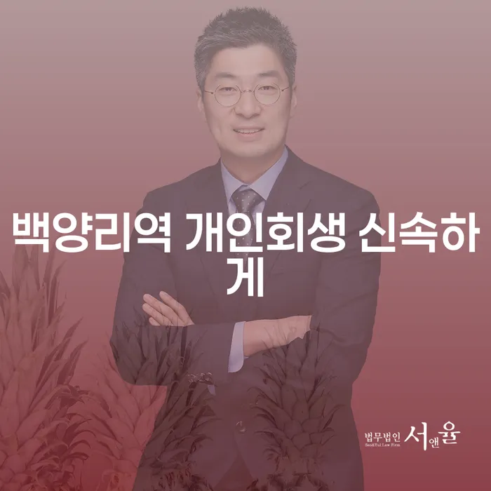 백양리역 개인회생 신속하게