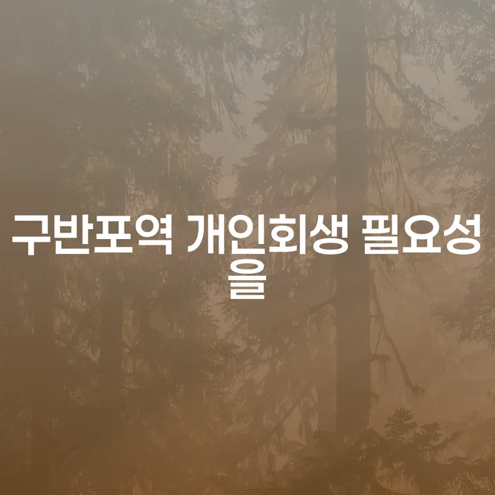 구반포역 개인회생 필요성을