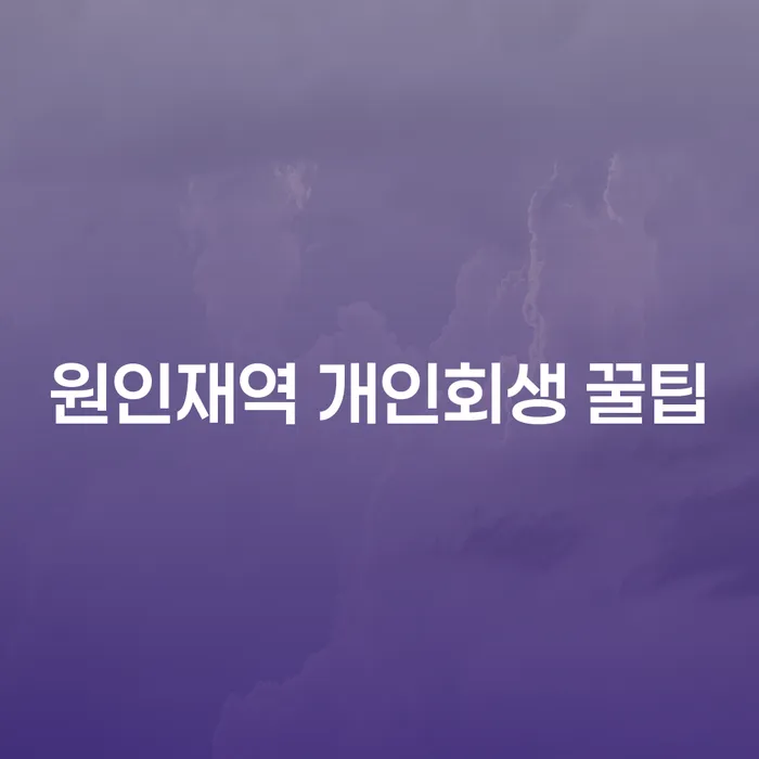 원인재역 개인회생 꿀팁