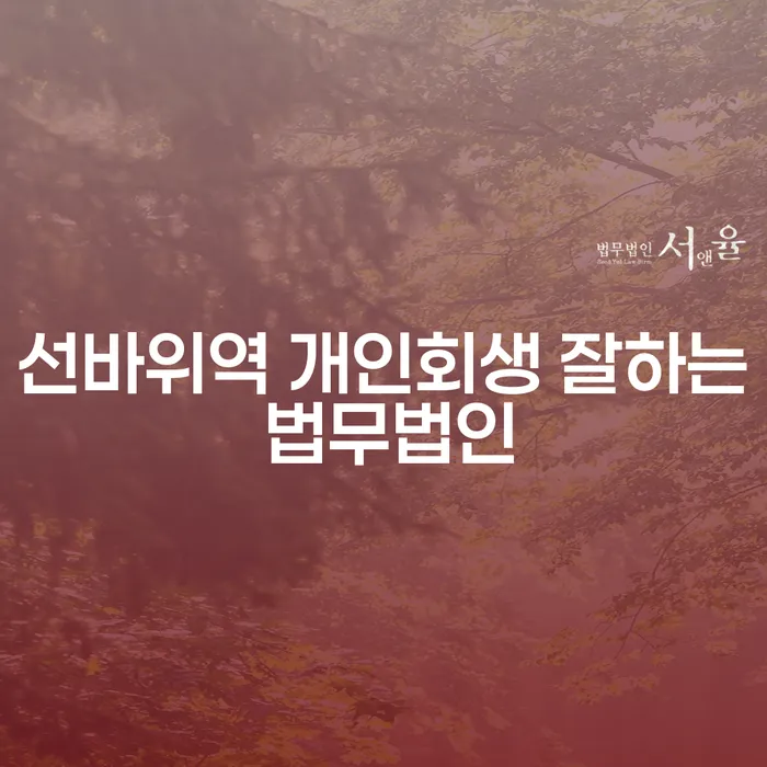 선바위역 개인회생 잘하는 법무법인