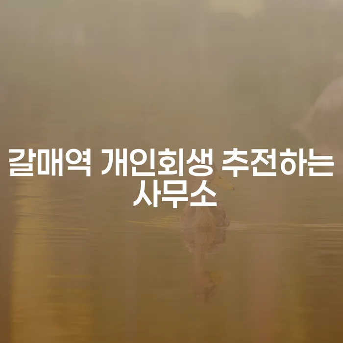 갈매역 개인회생 추전하는 사무소