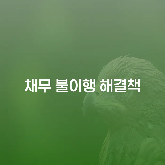 채무 불이행 해결책에 대한 현실적인 방안은 무엇일까?
