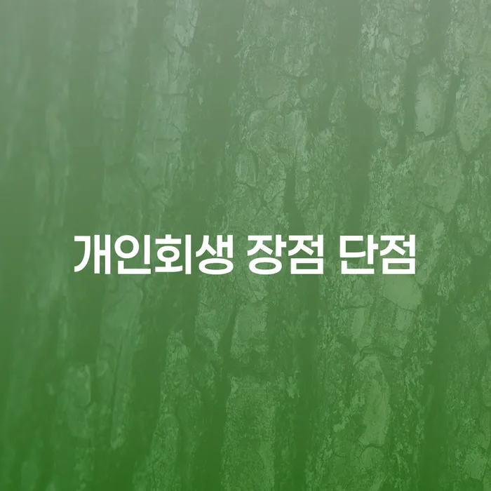 한남동 개인회생 장점과 단점 그리고 성공 사례