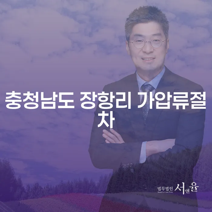투자 실패로 인한 3억 원 채무, 충청남도 장항리에서 어떻게 가압류 절차를 해결할 수 있을까요?