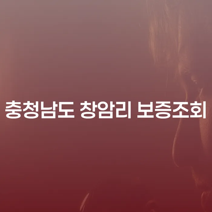 충청남도 창암리 보증조회, 어떻게 시작해야 할까요?
